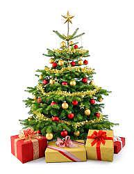 FROHE WEIHNACHTEN 2025